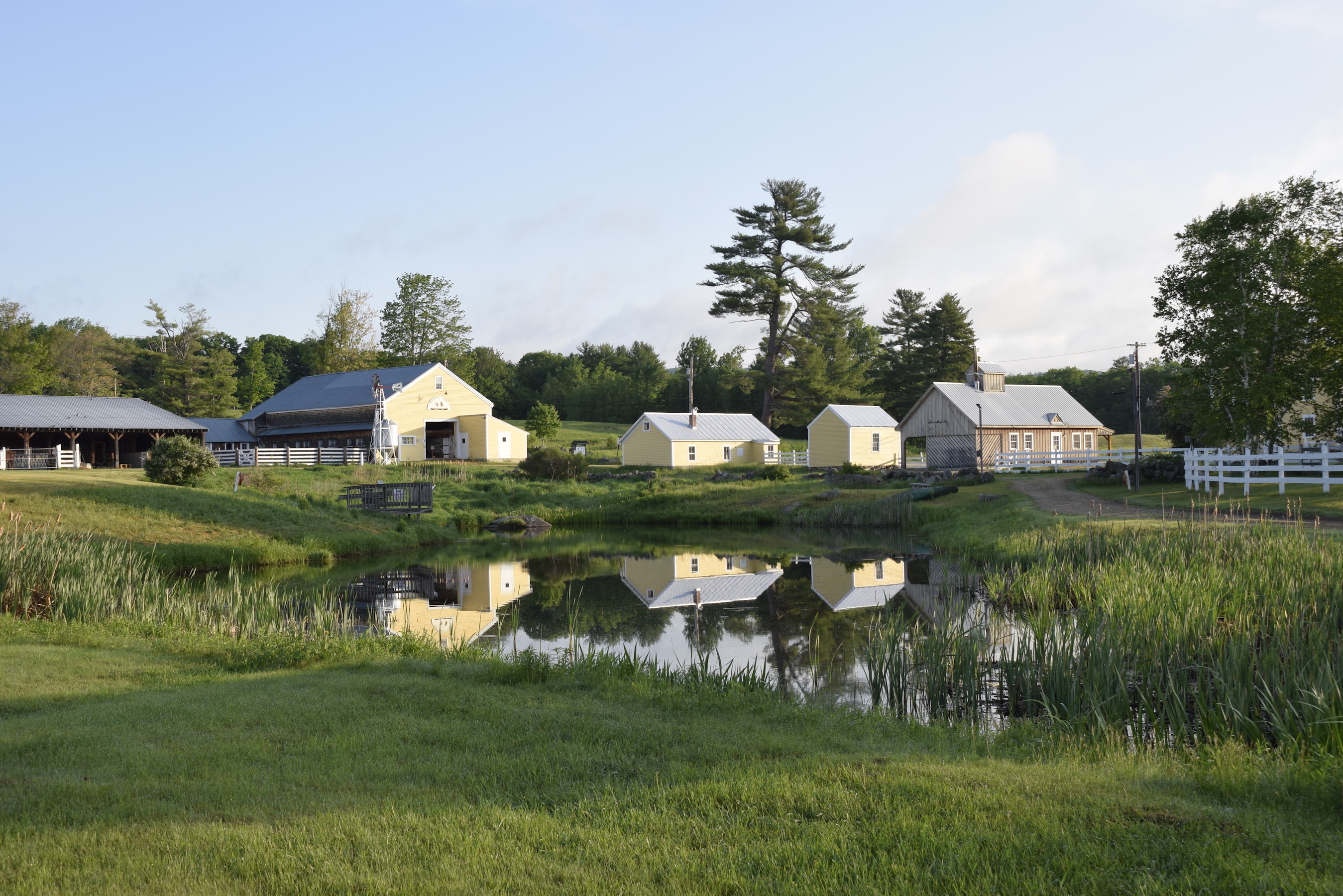 Learn what rural life was like at the Remick Country Doctor Museum & Farm.