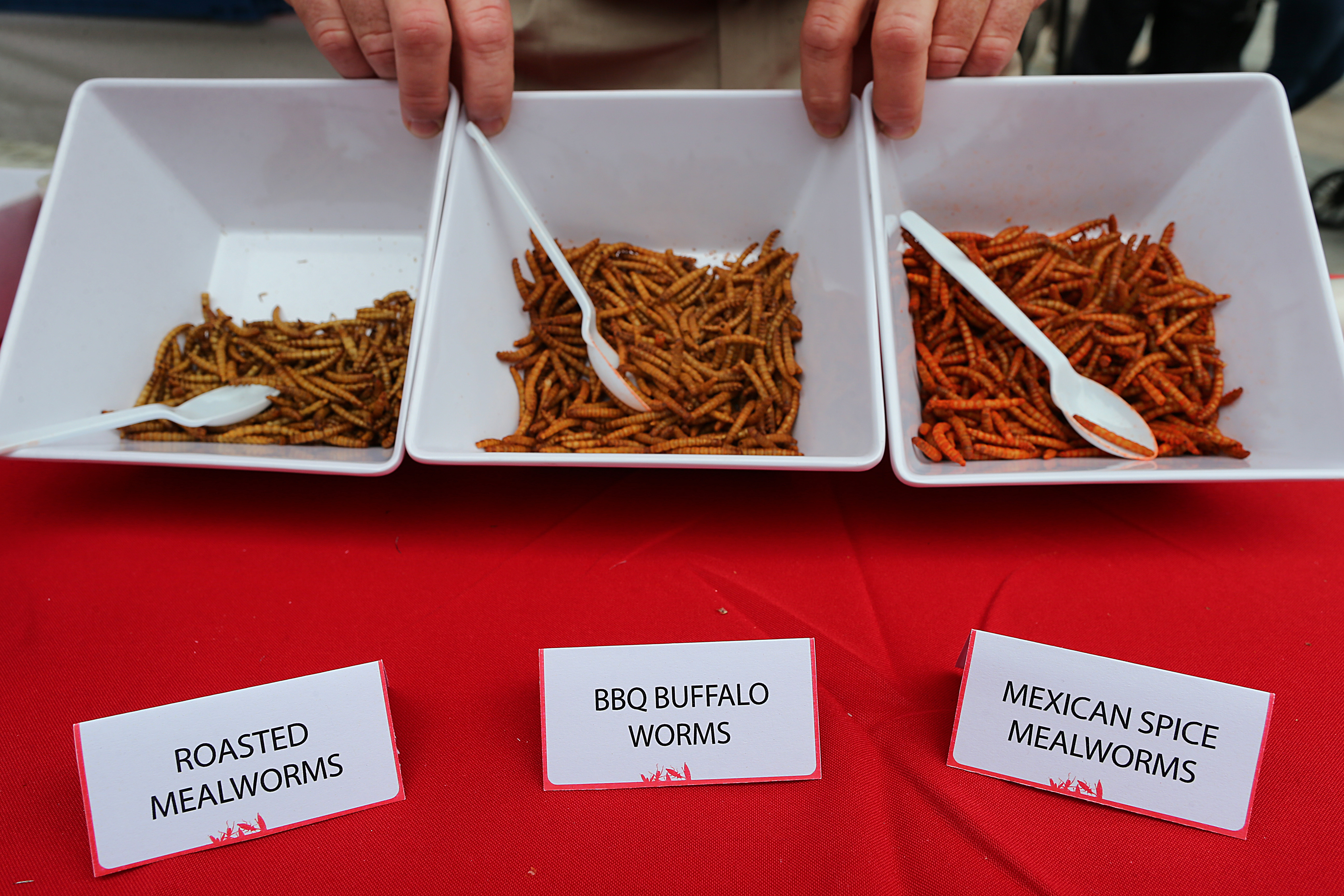 A cricket eating competition was also held. Menu items included grasshopper burger, meal worm fired rice, and BBQ buffalo worms.