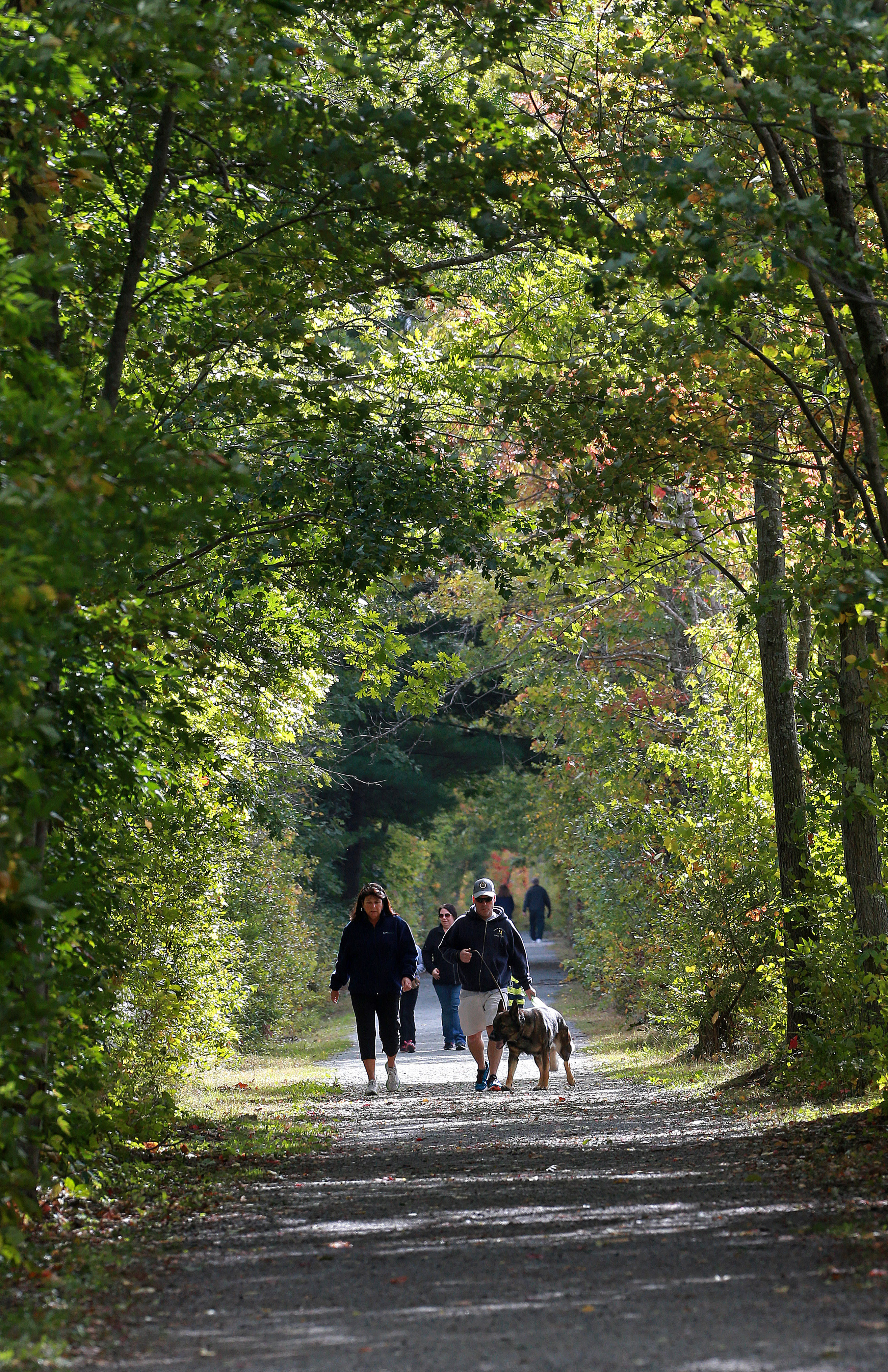 Walkers, and their dog, take a stroll along the Danvers Rail Trail.