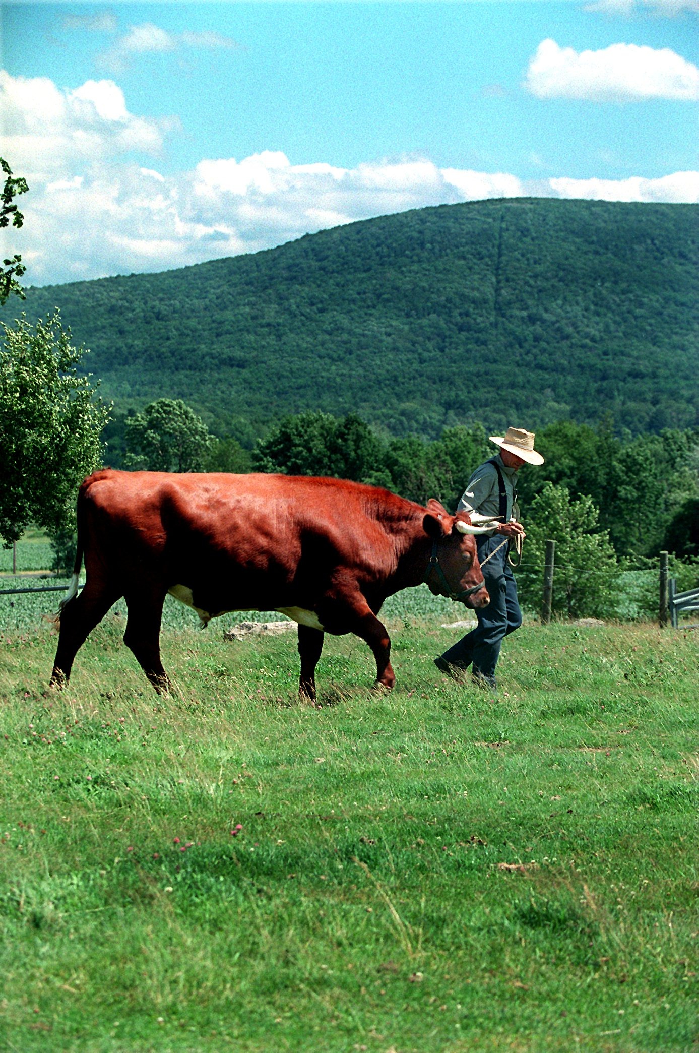 The Hancock Shaker Village hosts a country fair.