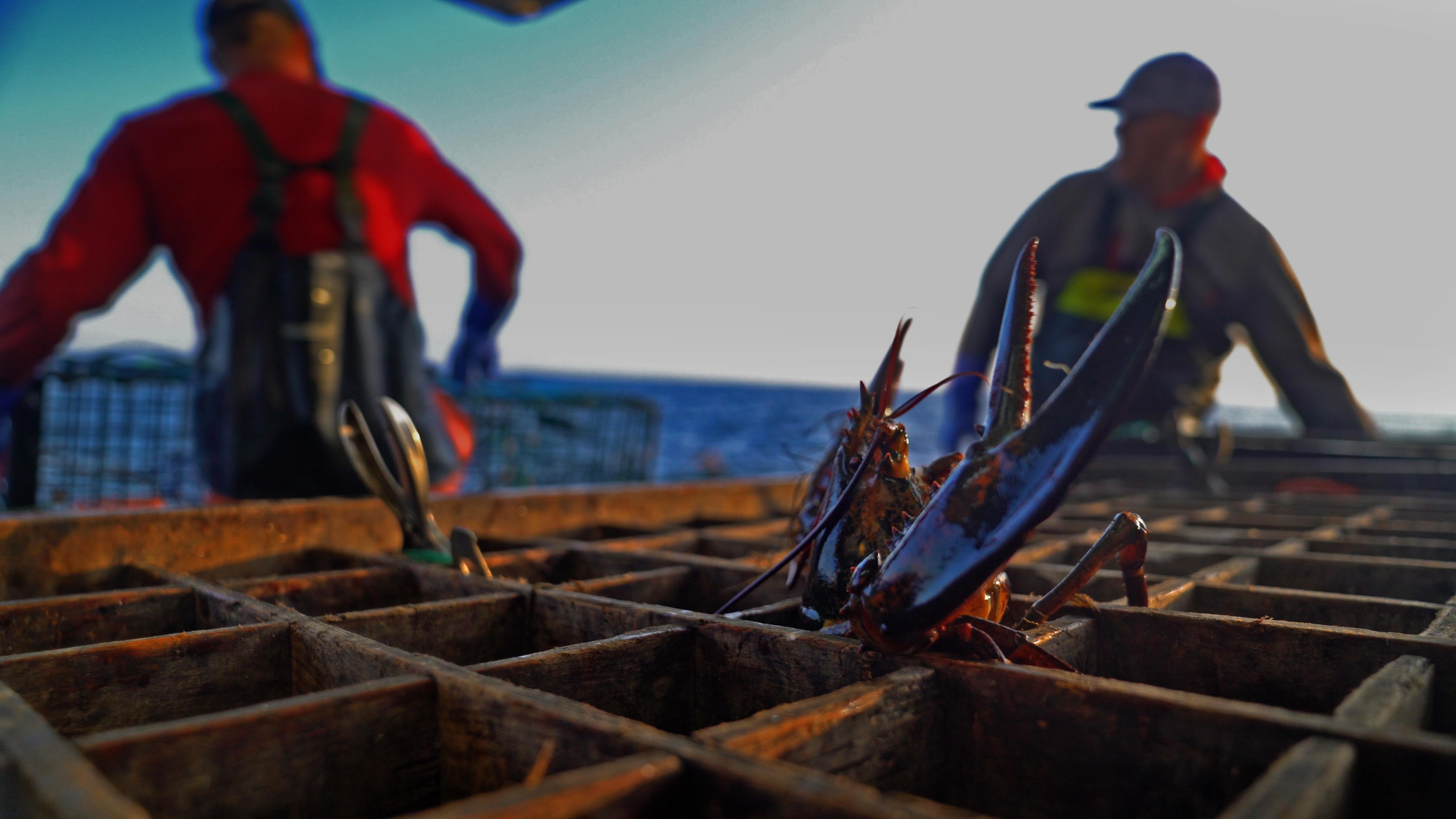 “Lobster War” is a film by Globe reporter David Abel.